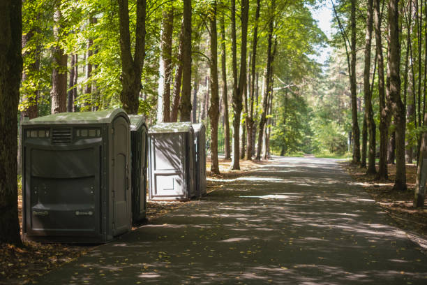 Best Local porta potty services  in Nappanee, IN